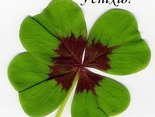 Успіхів!