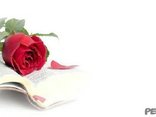 Os invitamos de todo el corazón  a la fiesta de Aniversario  de Nuestra Boda.