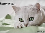 Pienso en ti