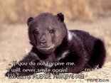  PLEASE FORGIVE ME!
