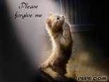 Please forgive me