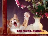 por favor, ayuda...