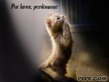 Por favor, perdóname