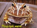 Поцілуй мене