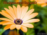 Поздравления для тебе