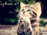 Позвони, а?