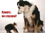 Привіт. як справи?