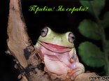 Привіт! Як справи?