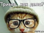 привет смешная картинка онлайн привет смешная картинка