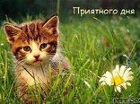 Приятного дня
