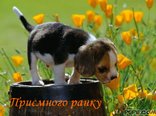 Приємного ранку