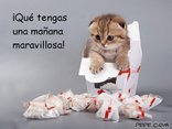 ¡Qué tengas una mañana maravillosa!