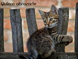 Quiero abrazarte
