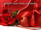 Quiero que seas mi novia