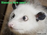 Riesci a fare così? ;-)