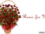 Roses for You
