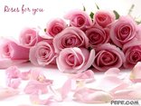 Roses for you