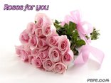 Roses for you