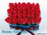 Roses for you