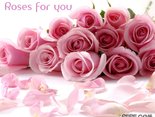 Roses for you