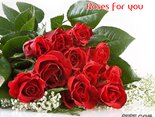 Roses for you
