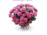 Roses for You