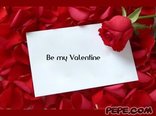 Rosses for You