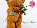 Роза для Тебя