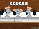 Scusa!!!