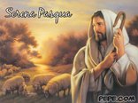 Serena Pasqua!