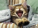 Smile