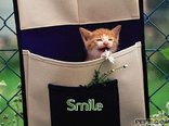 Smile