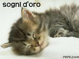 sogni d'oro