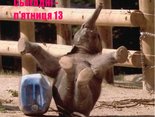 Сьогодні - п'ятниця 13 