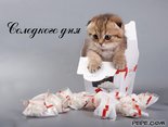 Солодкого дня
