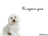 Солодкого дня