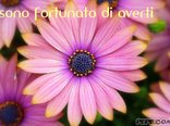 sono fortunato di averti