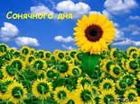 Сонячного дня