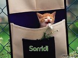 Sorridi