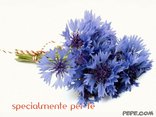 specialmente per te