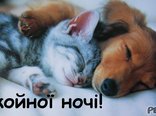 Спокойної ночі!