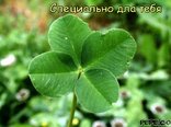 Специально дла тебя