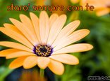 staro' sempre con te