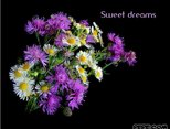 Sweet dreams