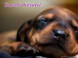 Sweet dreams!