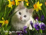 Talk to me please…