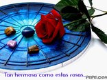 Tan hermosa como estas rosas...