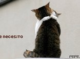 Te necesito