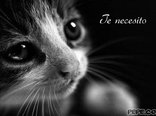 Te necesito