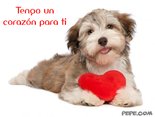 Tengo un corazón para ti